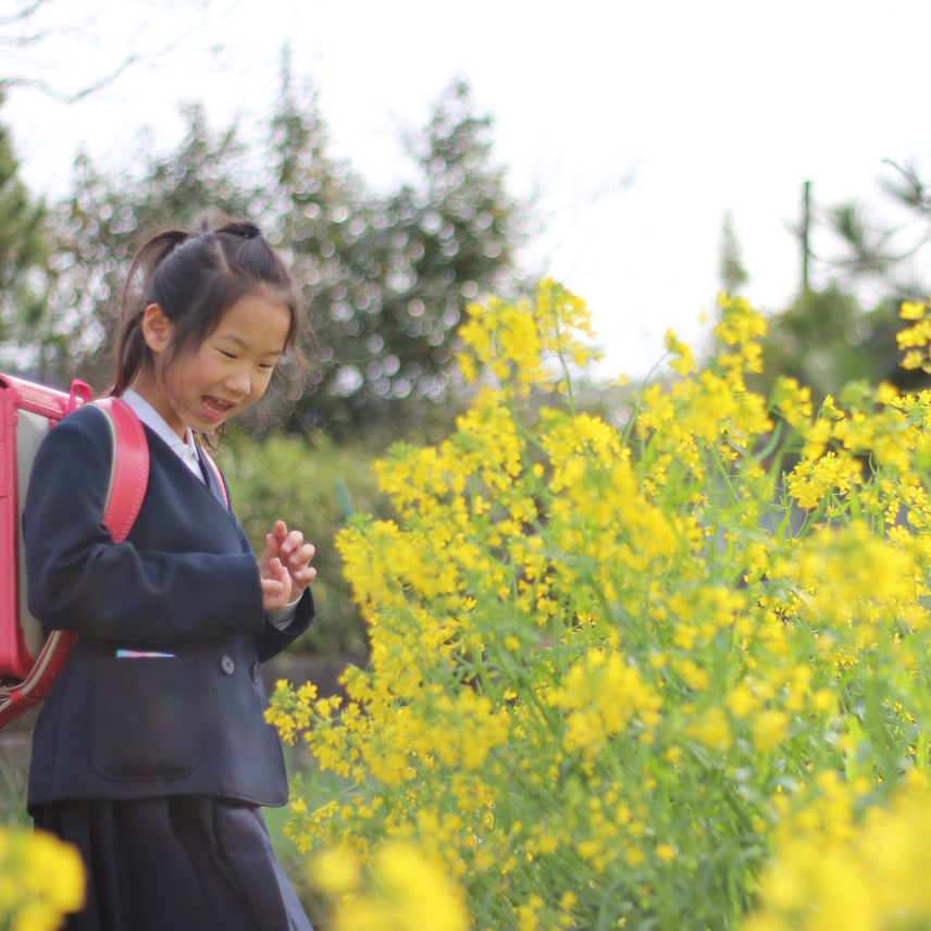 【ふるさと納税返礼品なし】美咲町 協働のまちづくり ふるさと応援プロジェクト 1,000円分寄附