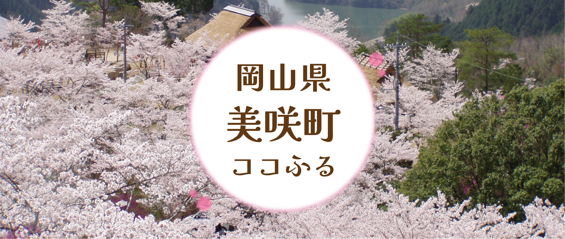 スライド画像1