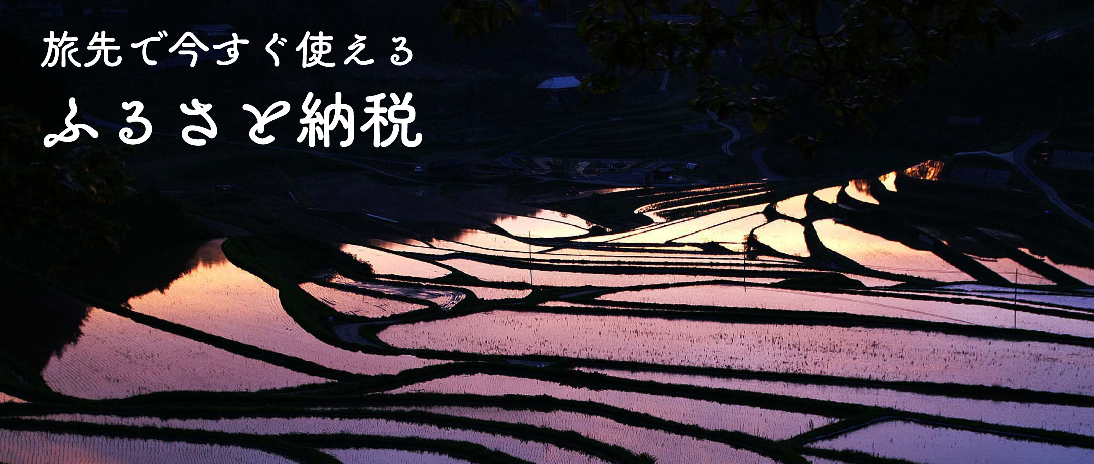 スライド画像3
